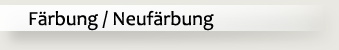 Einfrbung Ihres Leders - Leder einfrben oder neufrben? Wir beraten Sie bei Ihrer Lederfrbung in Berlin und Brandenburg.